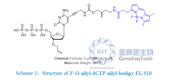 3′-O-allyl-dCTP-allyl-bodipy-FL-510.png