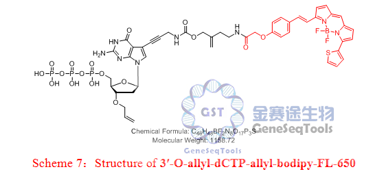 3′-O-allyl-dCTP-allyl-bodipy-FL-650.png