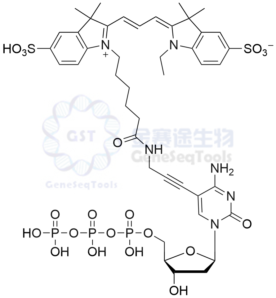 2365531-97-9结构式