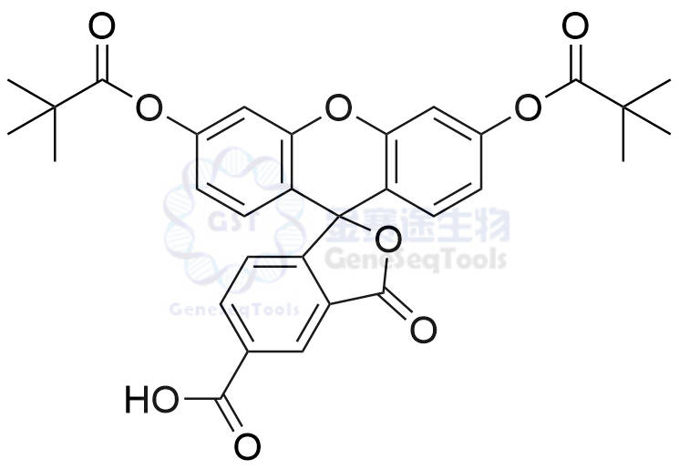 5-Carboxyfluorescein Dipivalate | 144676-12-0
